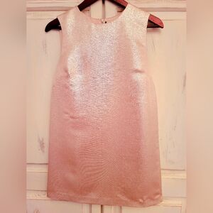 Blush pink shimmery mini dress NWOT